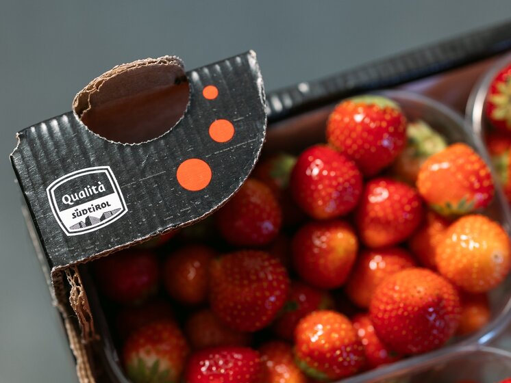 © IDM Südtirol/Hannes Unterhauser Cardboard box with the South Tyrol seal of quality badge, containing trays of strawberries. | © IDM Südtirol/Hannes Unterhauser