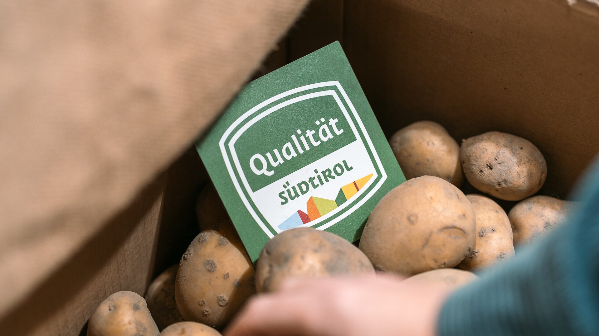 A hand reaches for a potato in a crate full of potatoes. The South Tyrol seal of quality is displayed. | © IDM Südtirol/Hannes Unterhauser